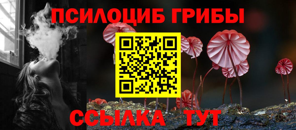 Галлюциногенные грибы Magic Shrooms Бугульма
